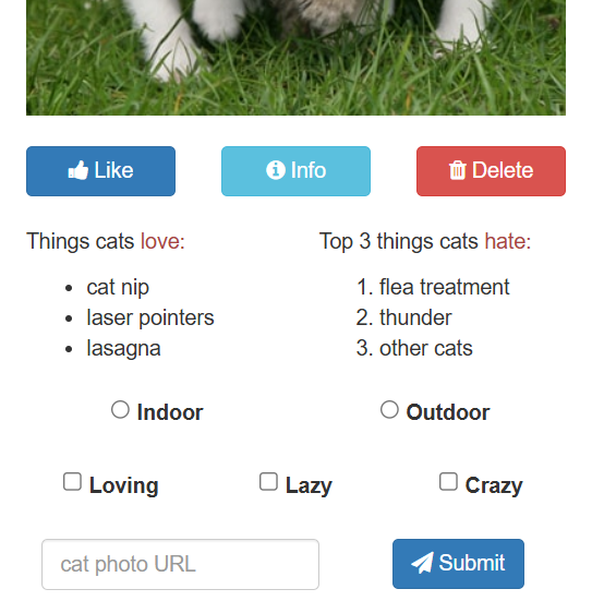 cat photo app form