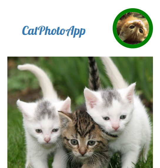 cat photo app with a big photo
