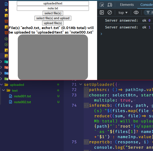 uploader minimal example with result shown