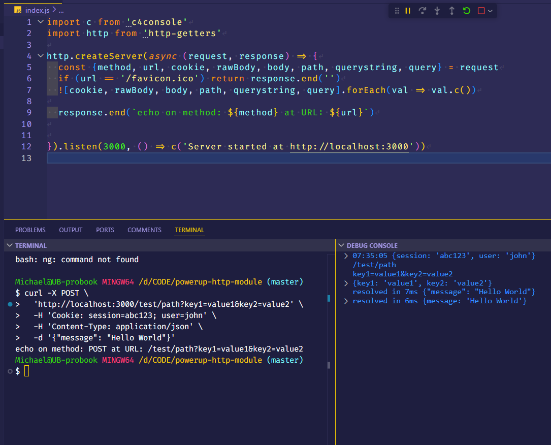 testing logs of a CURL request in Debug Console